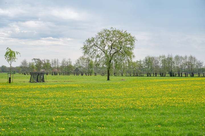 Foto 47 van Halle-Heideweg 24
