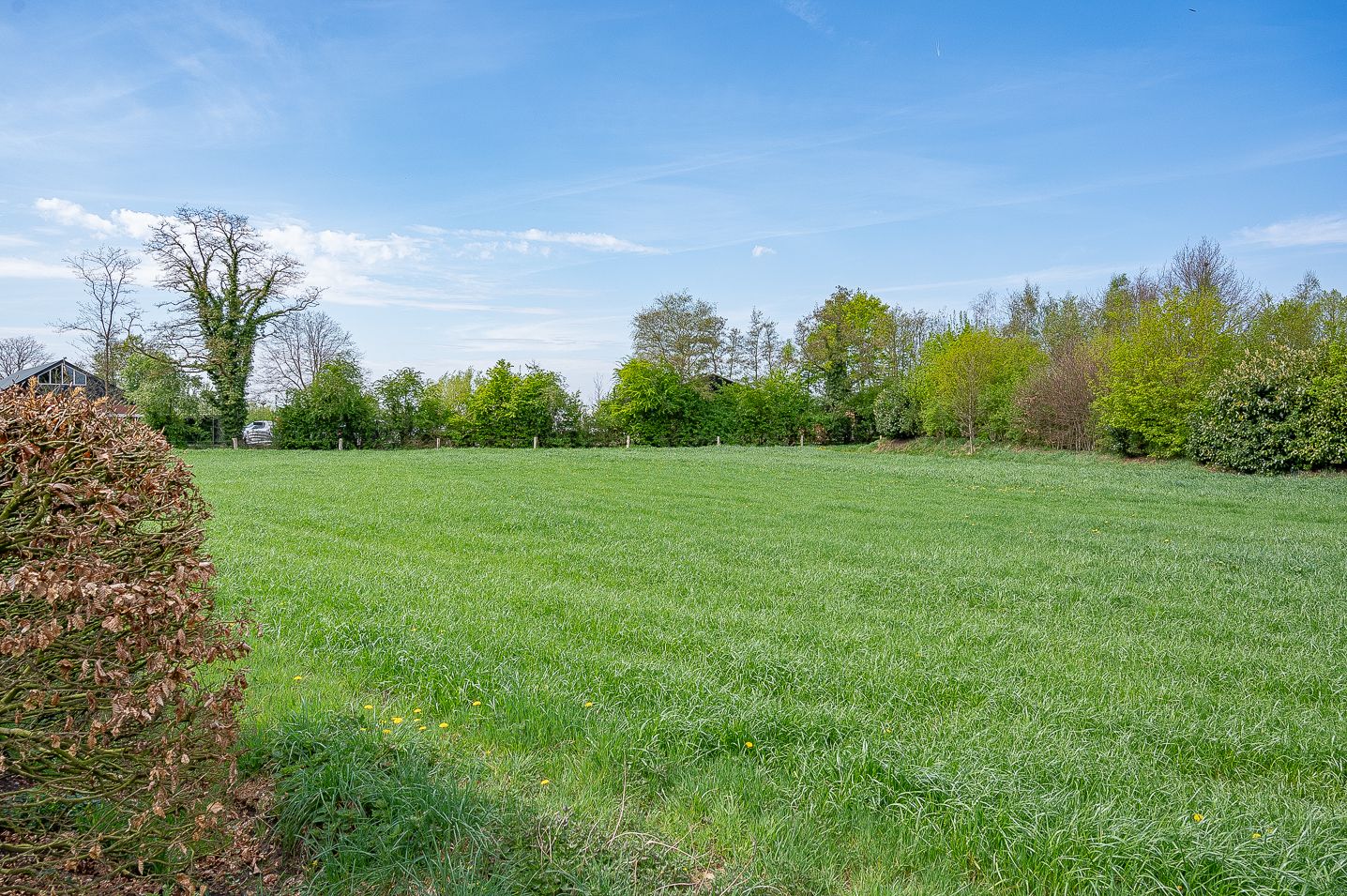 Foto 49 van Halle-Heideweg 24