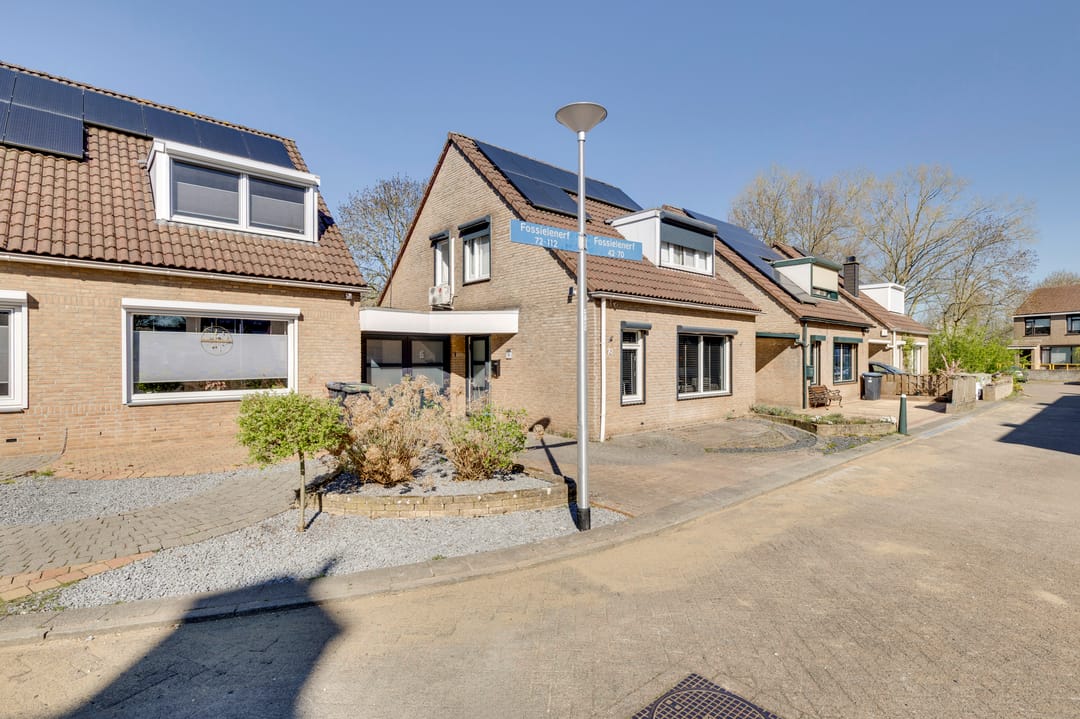 Foto 41 van Fossielenerf 70