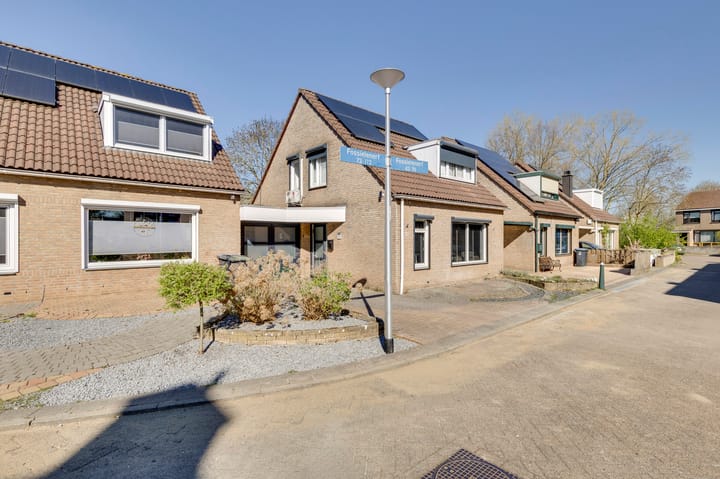 Foto 41 van Fossielenerf 70