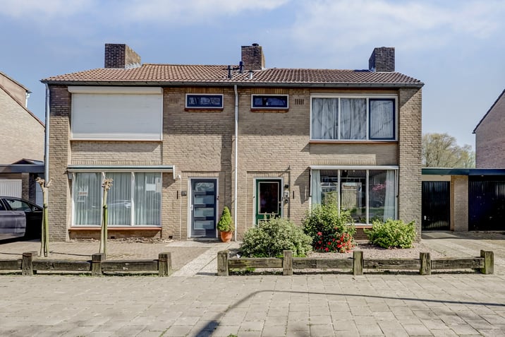 undefined main image