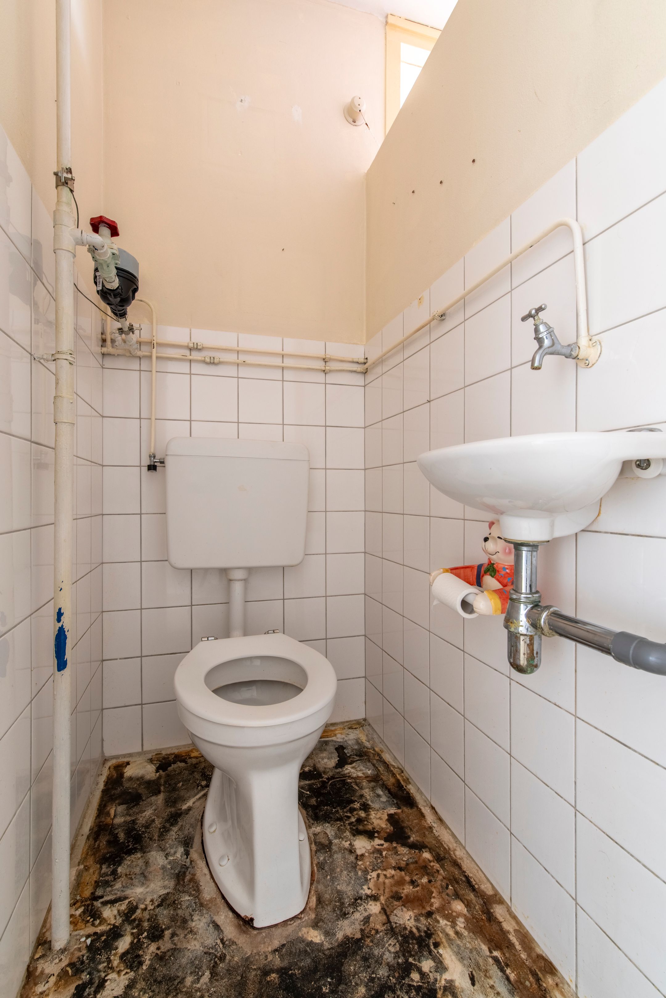 Foto 12 van De Grote Pekken 584