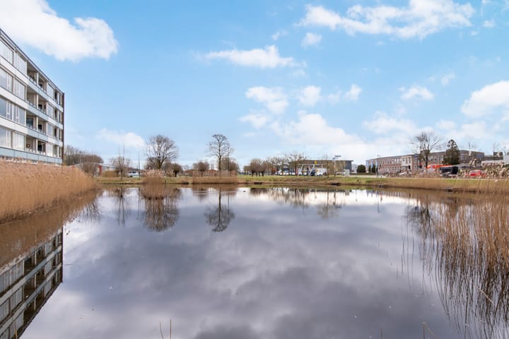 Foto 18 van De Grote Pekken 584