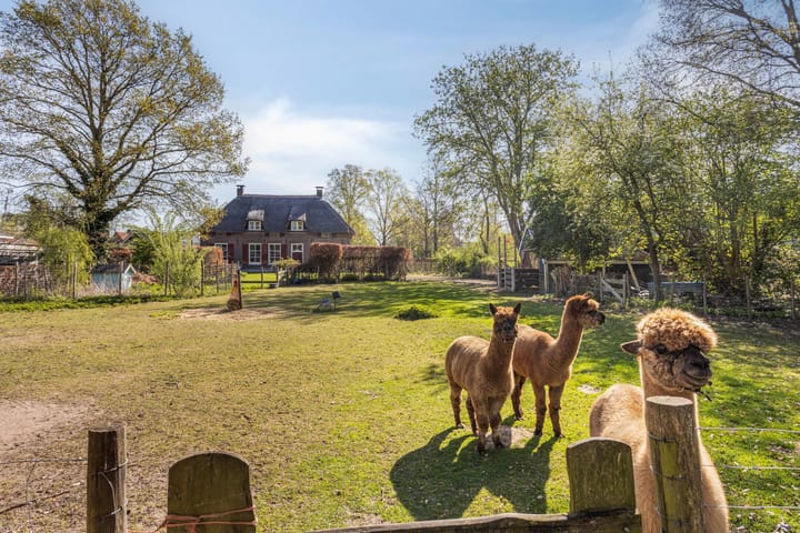 Foto 3 van Lange Akkers 2