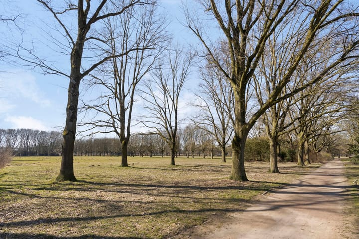 Foto 37 van van Vollenhovenstraat 20