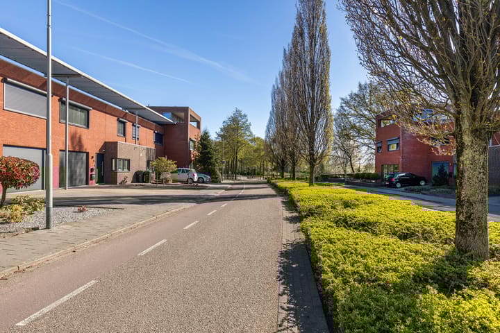 Foto 6 van Helmbloem 5