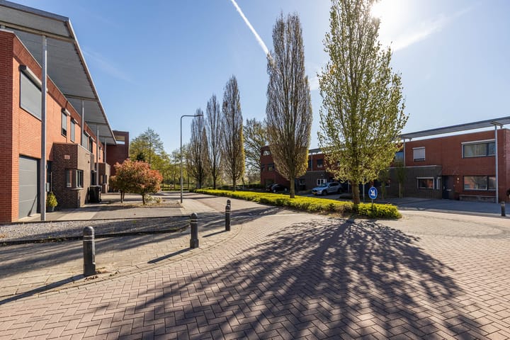 Foto 7 van Helmbloem 5