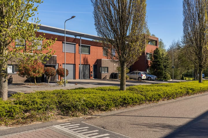 Foto 8 van Helmbloem 5