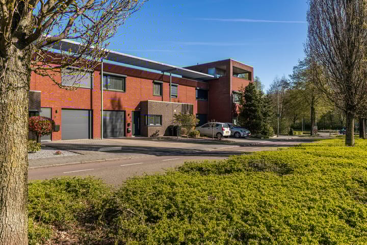 Foto 9 van Helmbloem 5