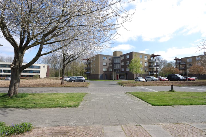 Foto 7 van Het Spectrum 54