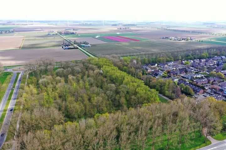 Foto 32 van Het Spectrum 54