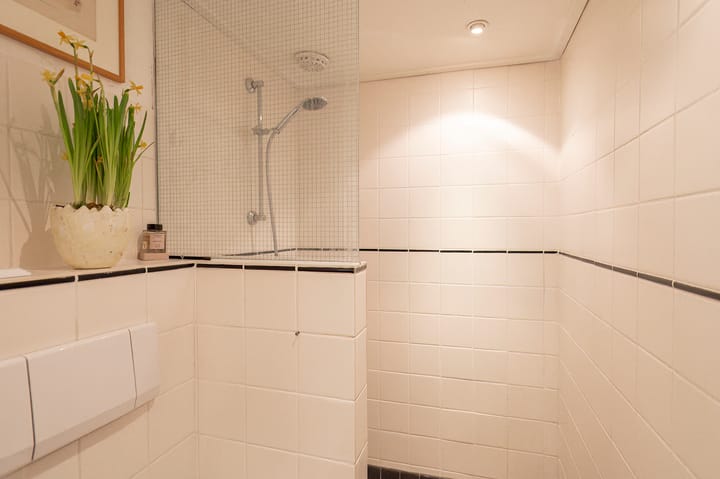 Foto 38 van Jan van Riebeeckstraat 28