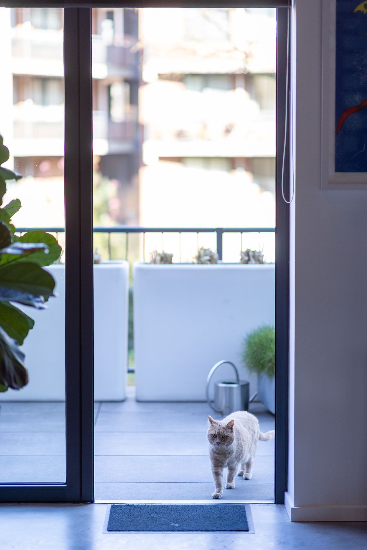 Foto 63 van Rochussenstraat 215-A