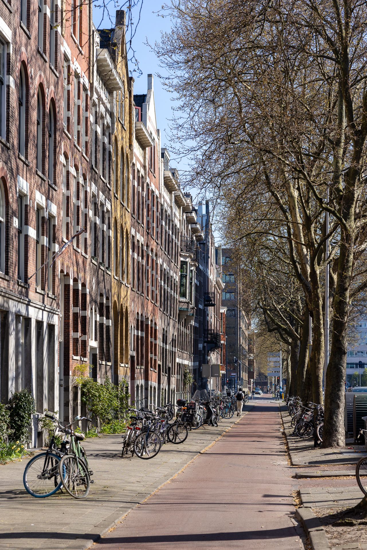 Foto 69 van Rochussenstraat 215-A