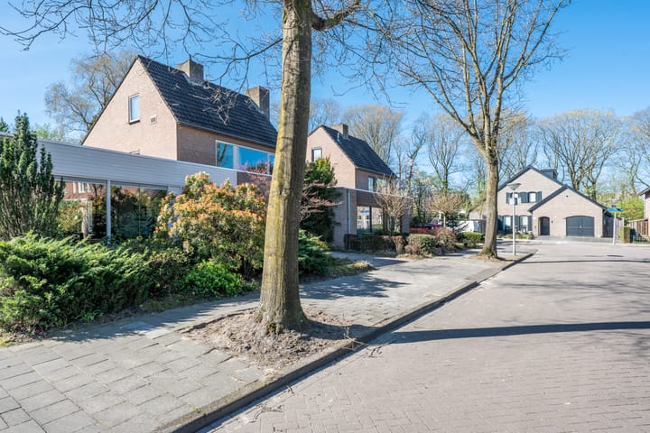 Foto 8 van Warmelo 44