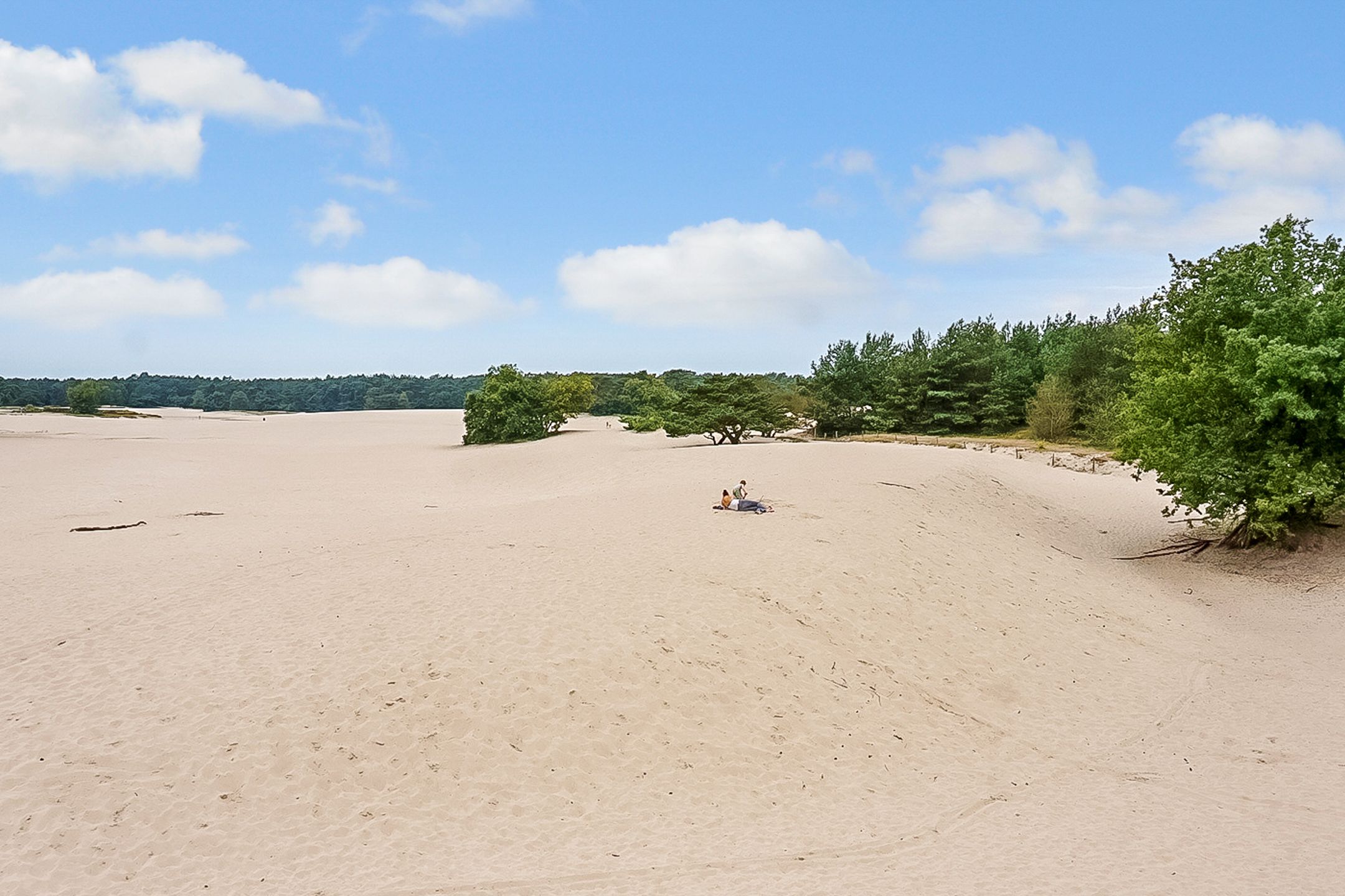 Photo 39 of Prins Hendriklaan 36