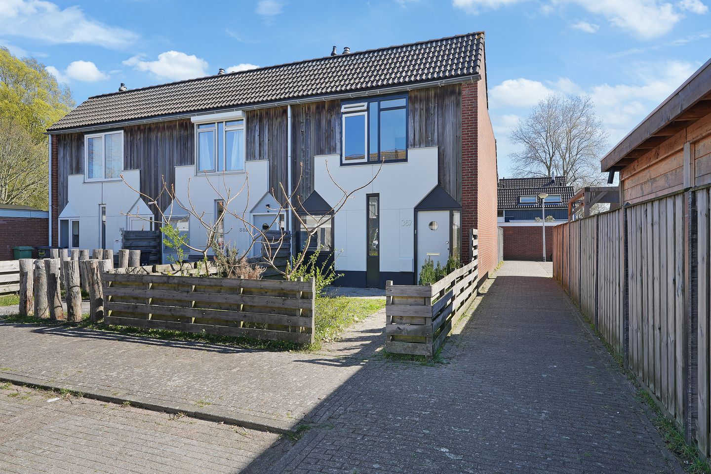 Foto 1 van Kanariesprenk 387