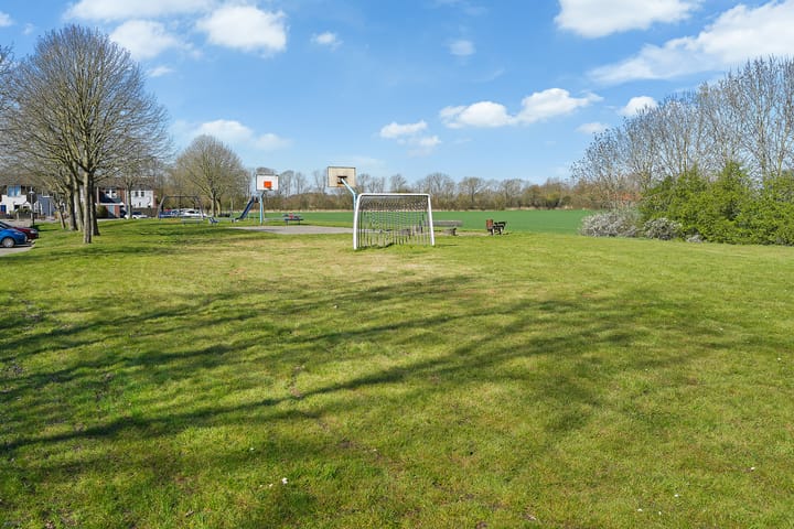 Foto 2 van Kanariesprenk 387