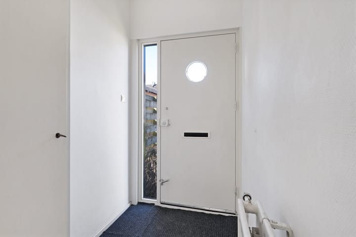 Foto 5 van Kanariesprenk 387