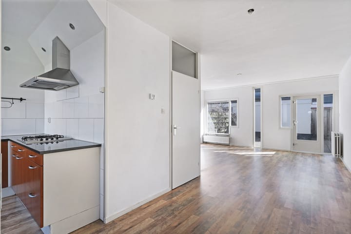 Foto 6 van Kanariesprenk 387