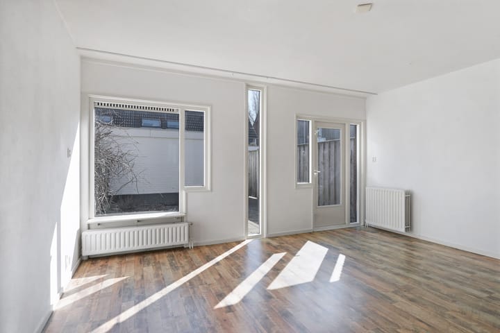 Foto 8 van Kanariesprenk 387