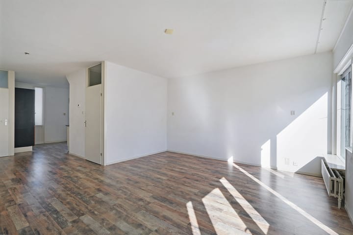 Foto 9 van Kanariesprenk 387