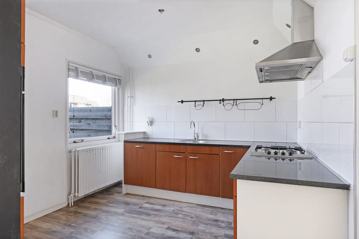 Foto 10 van Kanariesprenk 387