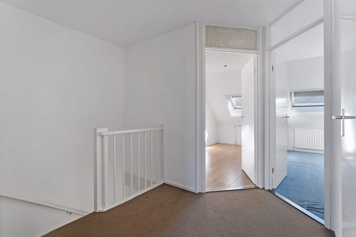 Foto 14 van Kanariesprenk 387