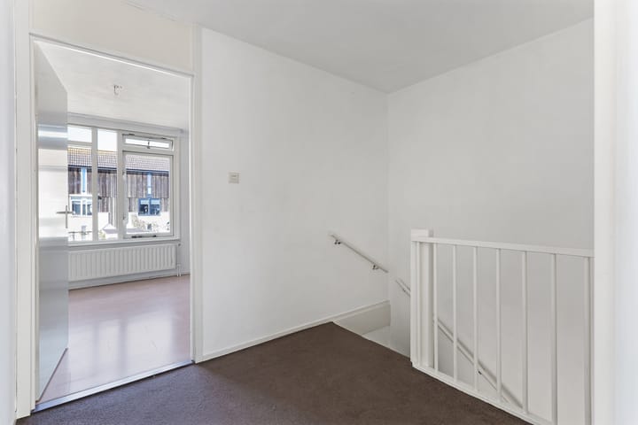 Foto 15 van Kanariesprenk 387