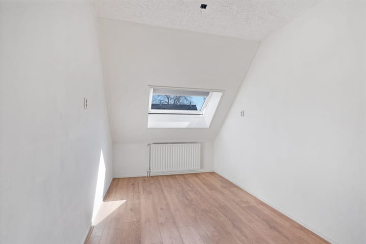 Foto 18 van Kanariesprenk 387