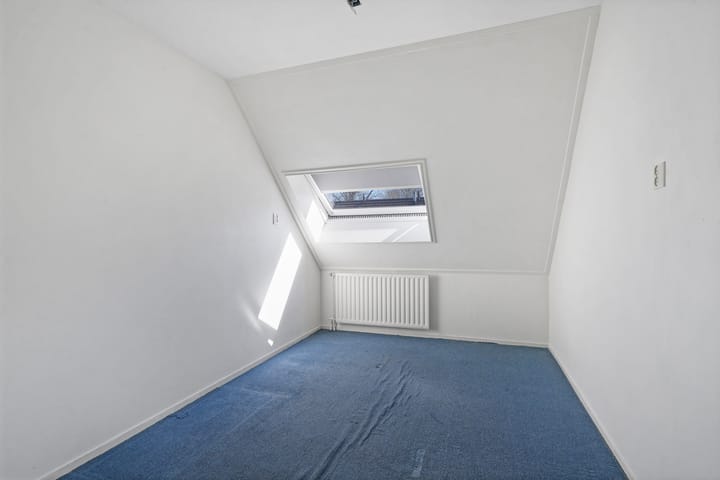 Foto 19 van Kanariesprenk 387