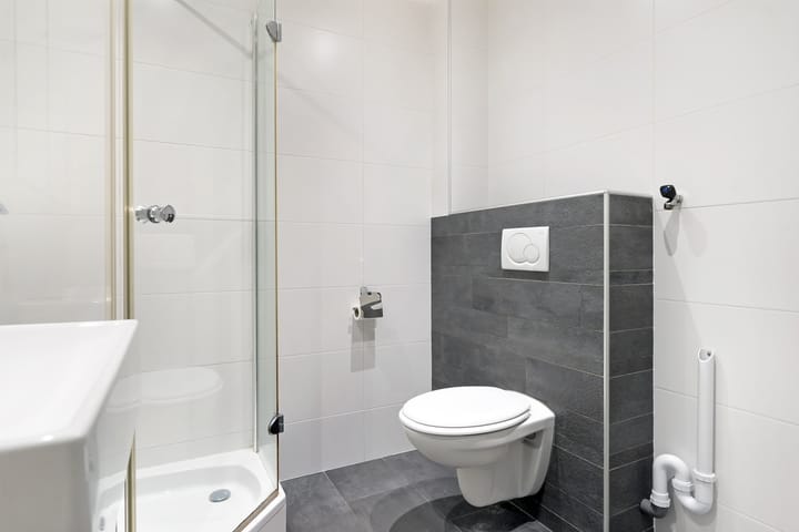 Foto 20 van Kanariesprenk 387