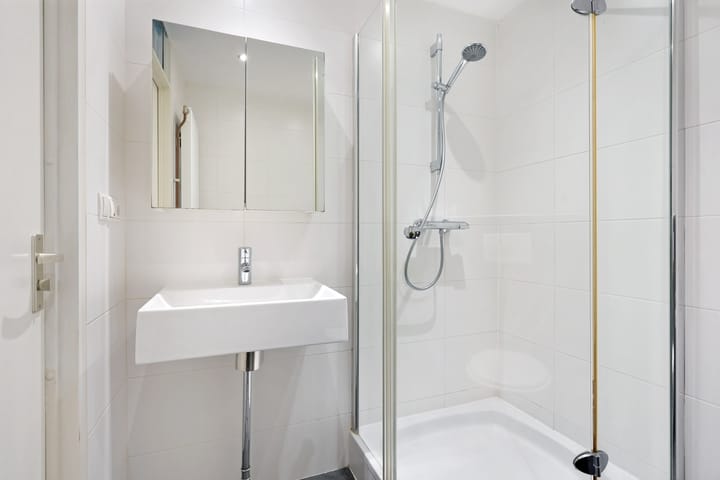 Foto 21 van Kanariesprenk 387