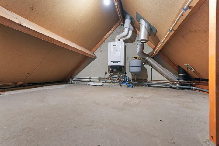 Foto 22 van Kanariesprenk 387