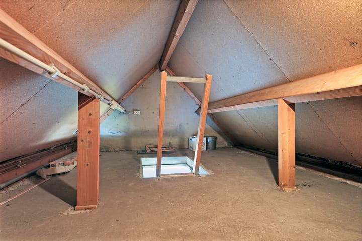 Foto 23 van Kanariesprenk 387