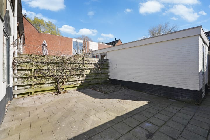 Foto 25 van Kanariesprenk 387