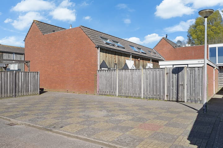 Foto 27 van Kanariesprenk 387