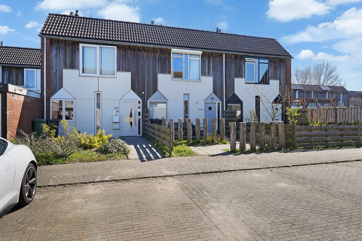 Foto 28 van Kanariesprenk 387