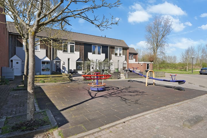 Foto 29 van Kanariesprenk 387