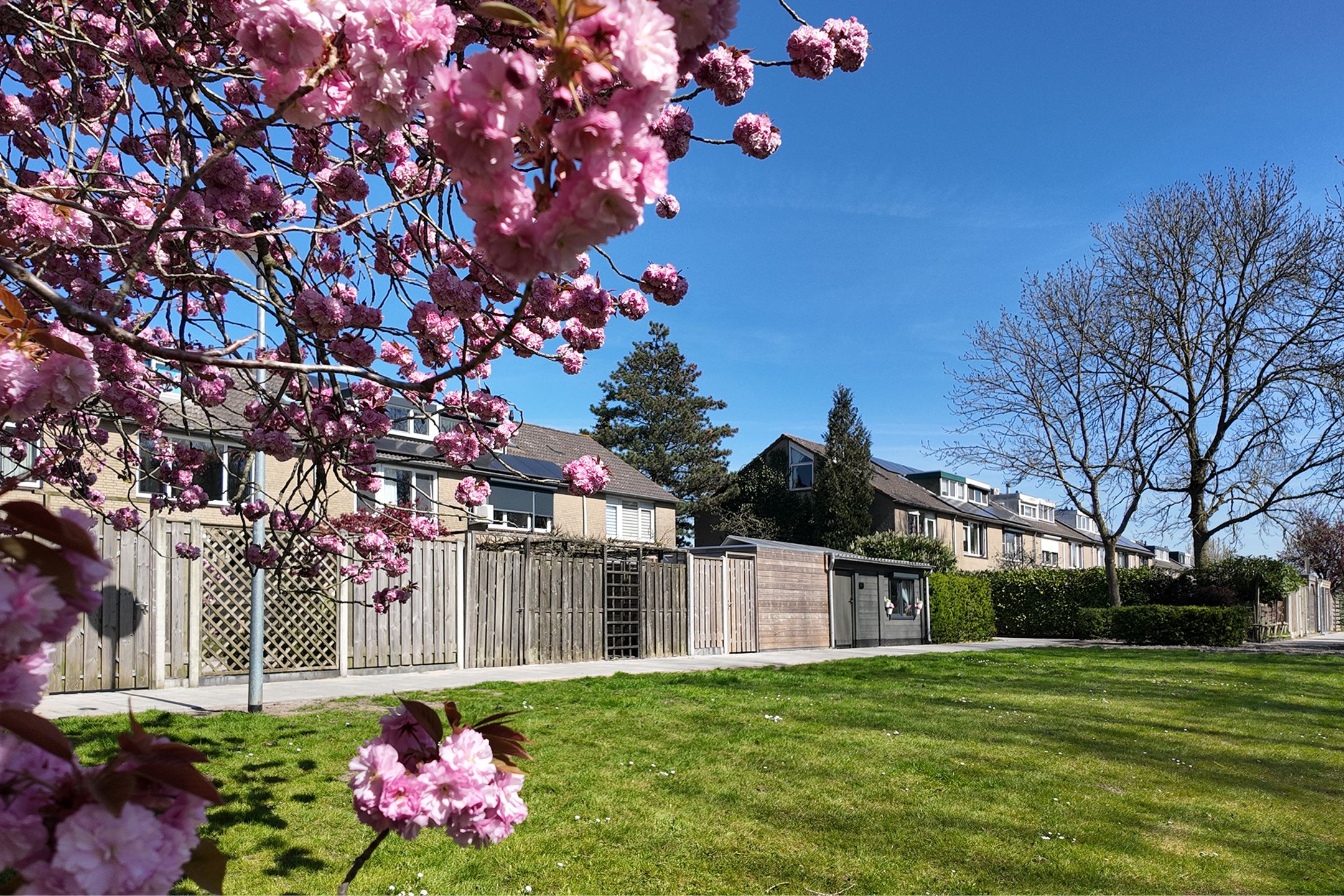 Photo 60 of Etersem 35