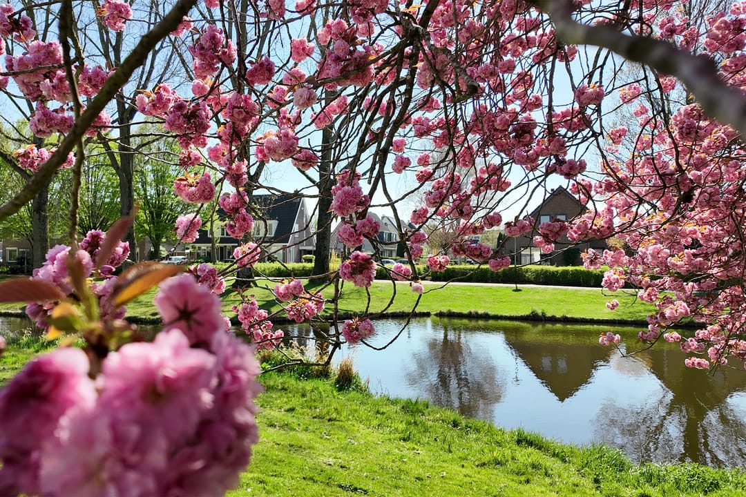 Photo 61 of Etersem 35