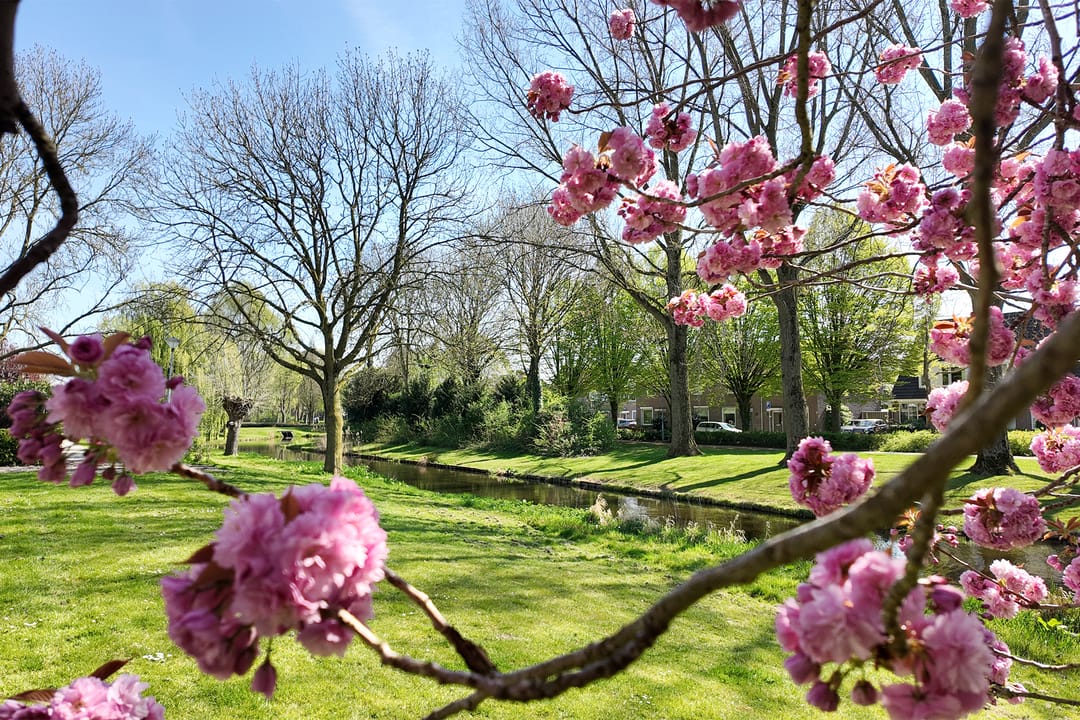 Photo 62 of Etersem 35