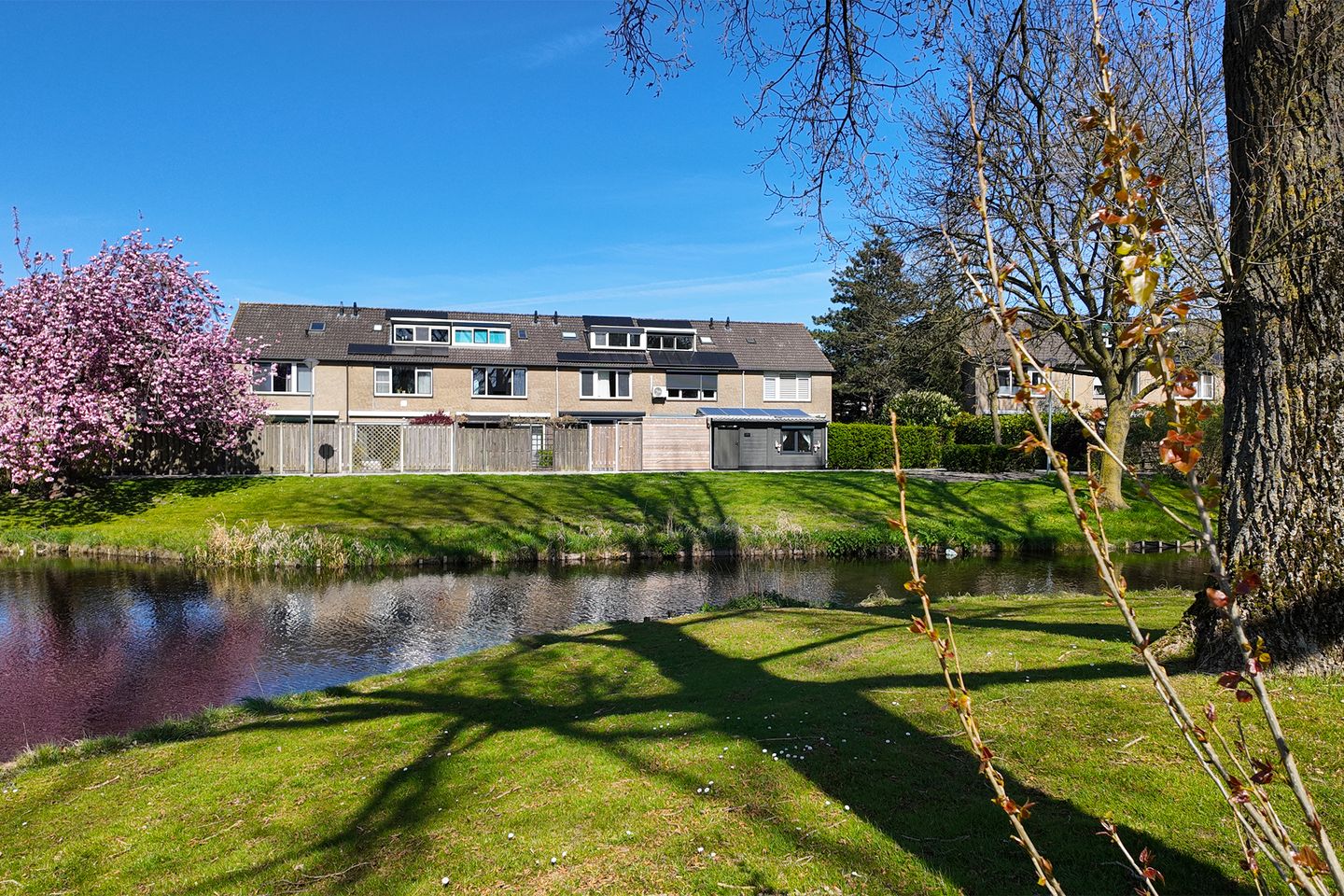 Photo 64 of Etersem 35