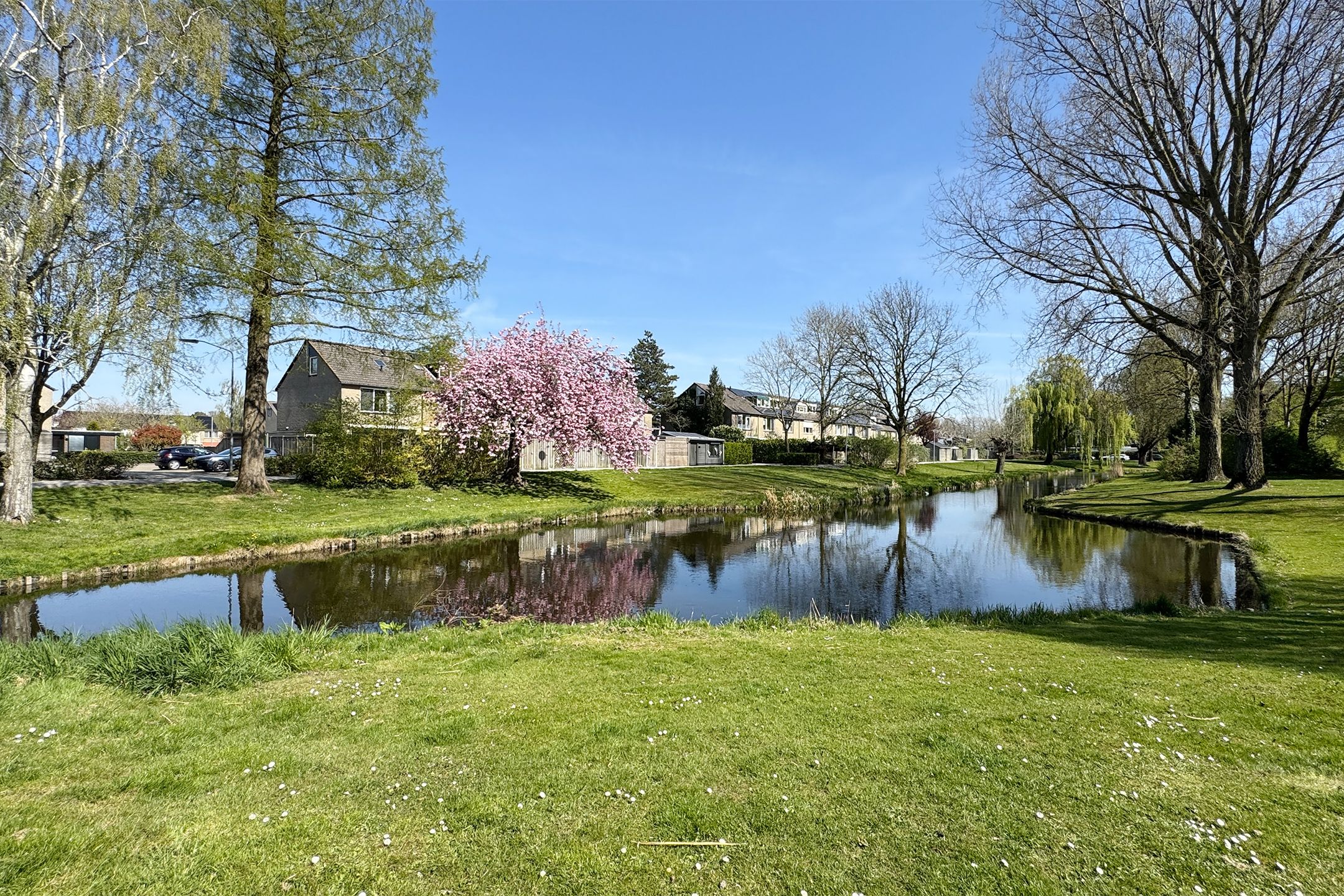 Photo 66 of Etersem 35