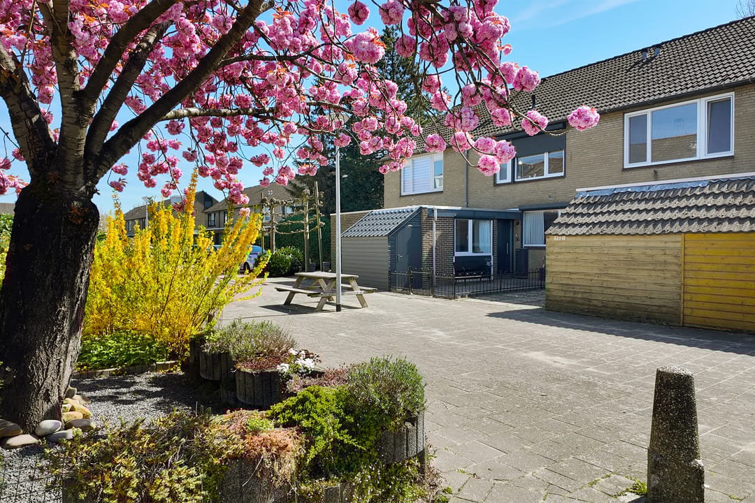 Photo 67 of Etersem 35