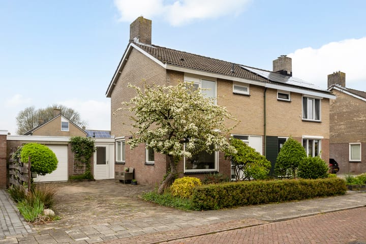 Foto 1 van De Plevier 29