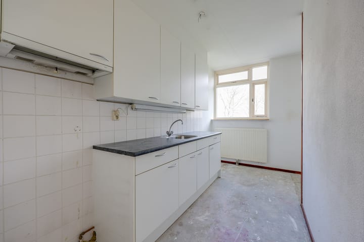 Foto 4 van Terpmeent 12