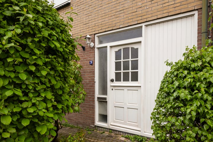 Foto 4 van De Plevier 29