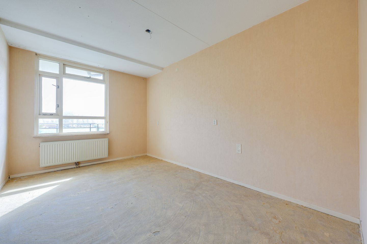 Foto 14 van Terpmeent 12