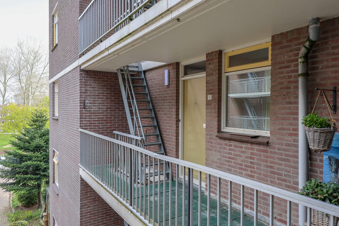 Foto 26 van Terpmeent 12